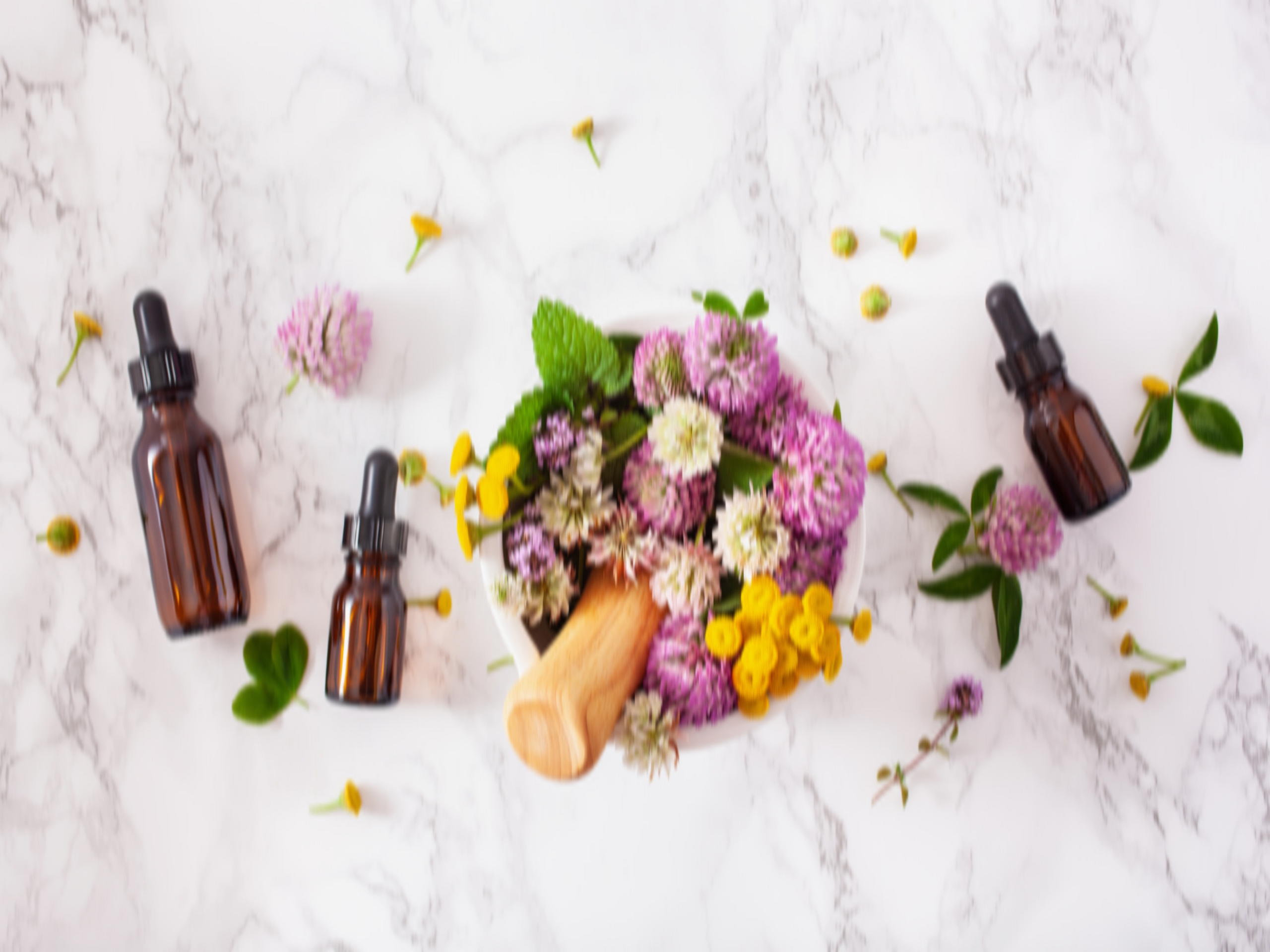 medical flowers herbs in mortar essential oils in bottles. alternative medicine. clover milfoil tansy rosebay